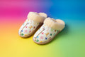 Furry House slippers Designer House Slippers UGG Slipper Collaboration